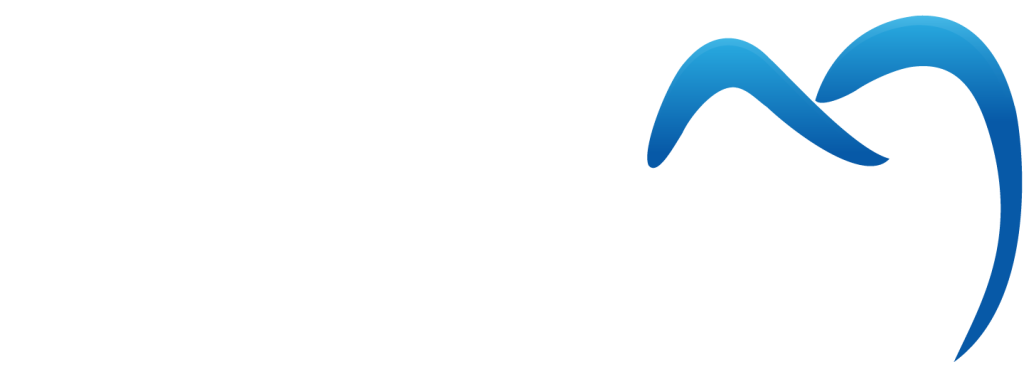 logo-dental-solutions-ecuador