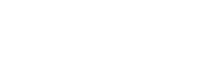 logo-dental-solutions-ecuador-w